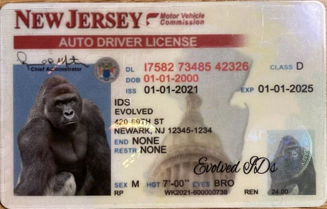 New Jersey Fake ID Front