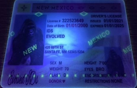 New Mexico Fake ID UV