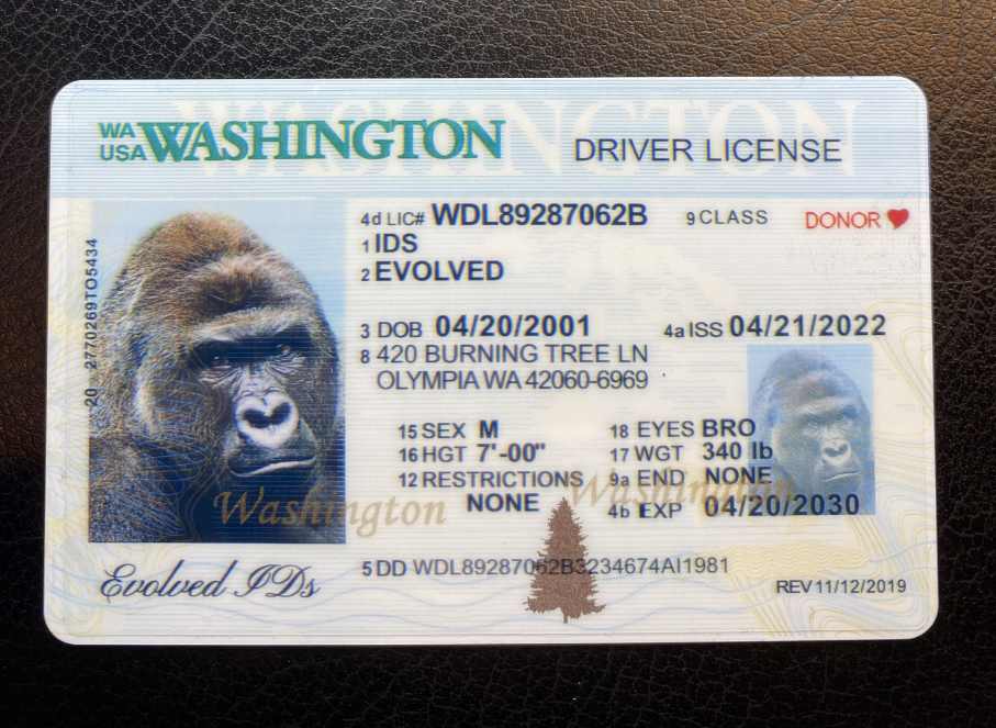 Washington (Old Version) Fake ID Front