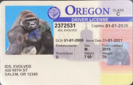 Oregon (Old Version) Fake ID