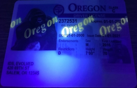 Oregon (Old Version) Fake ID UV