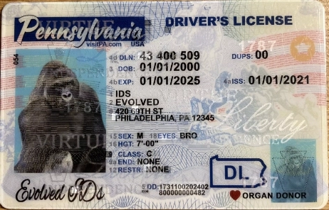 Pennsylvania Fake ID Front