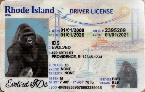 Rhode Island Fake ID Front