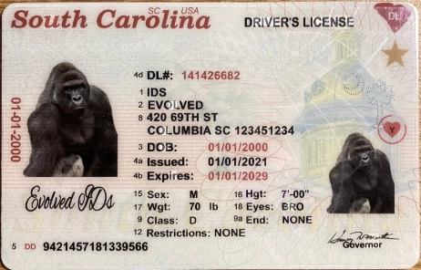 South Carolina (New Version) Fake ID Front