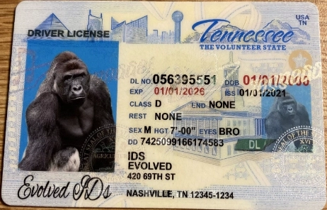 Tennessee Fake ID Front