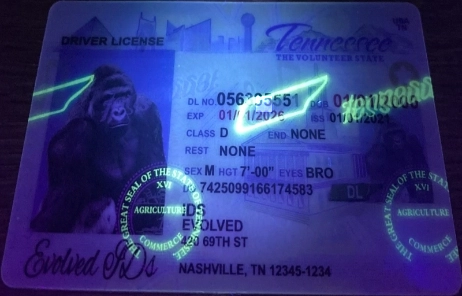 Tennessee Fake ID UV