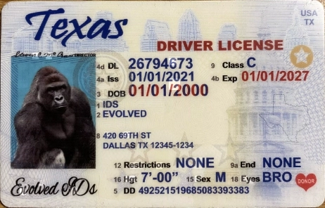 Texas (Old Version) Fake ID Front