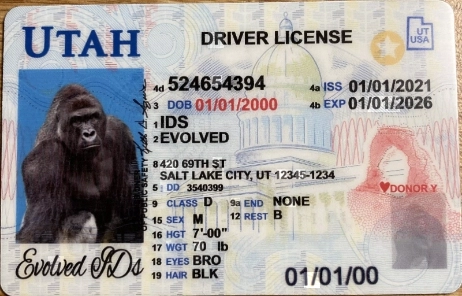 Utah Fake ID Front