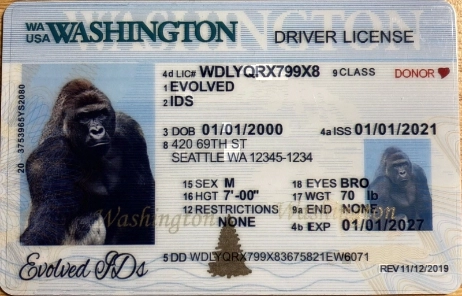 Washington (Old Version) Fake ID Front