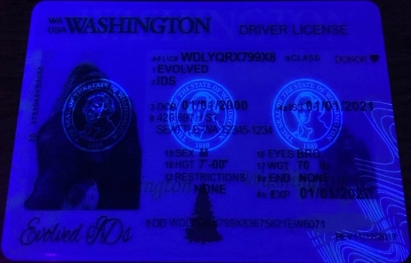 Washington (Old Version) Fake ID UV